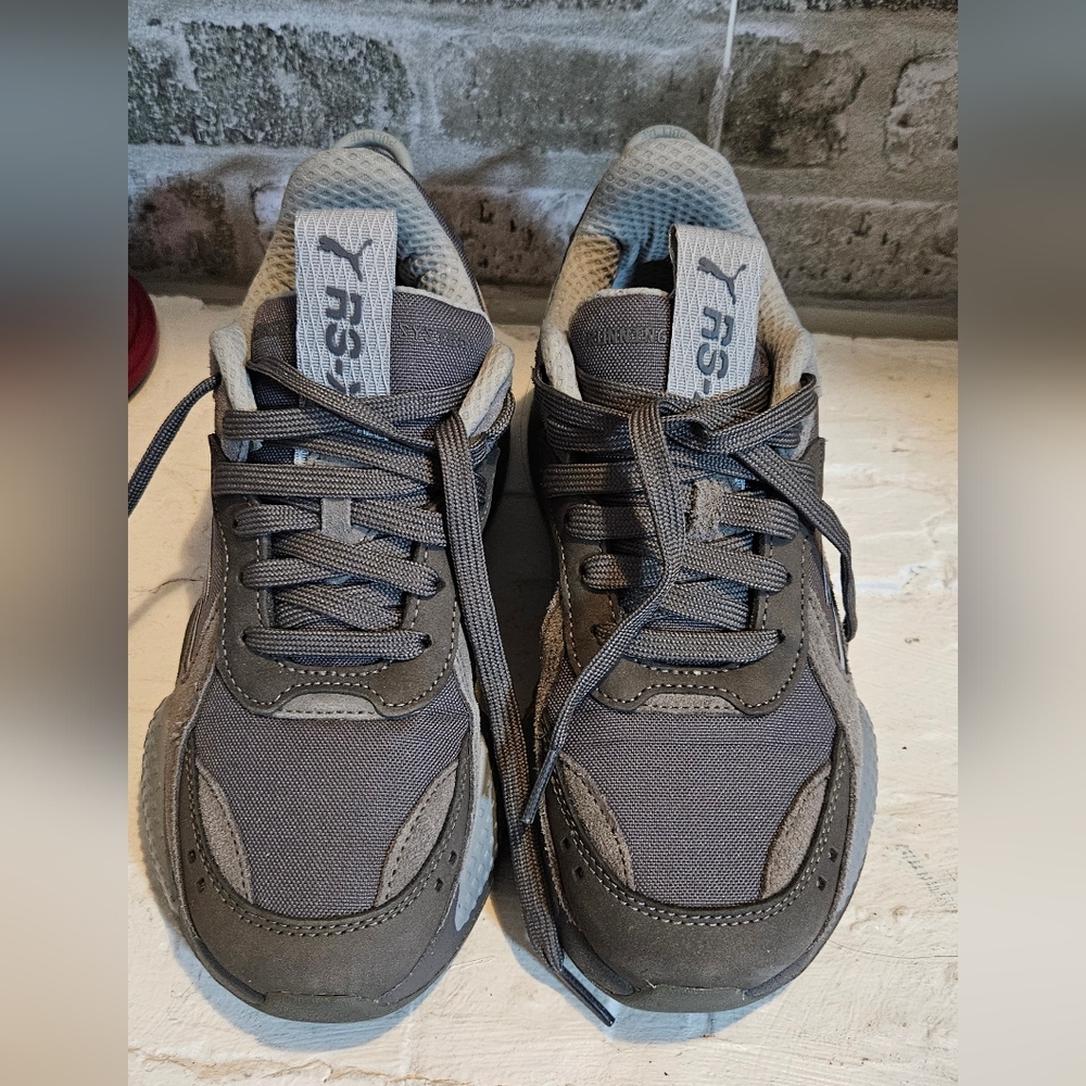 Puma RS-X Gray Sneakers